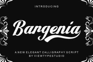 Bargenia Script Font for Modern Campaigns
