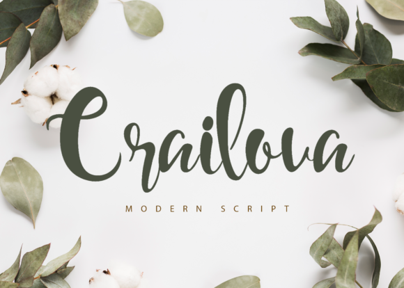 Crailova Font for Modern Web Design