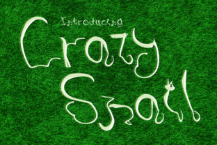 Crazy Snail Typeface for Creative Branding