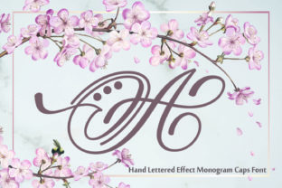 Hand Lettered Effect Monogram Font for Digital Campaigns