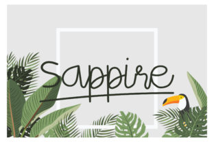 Sappire Typeface: Soft Script for Elegant Branding
