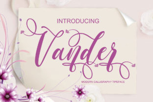 Vander Script Font for Elegant Business Branding